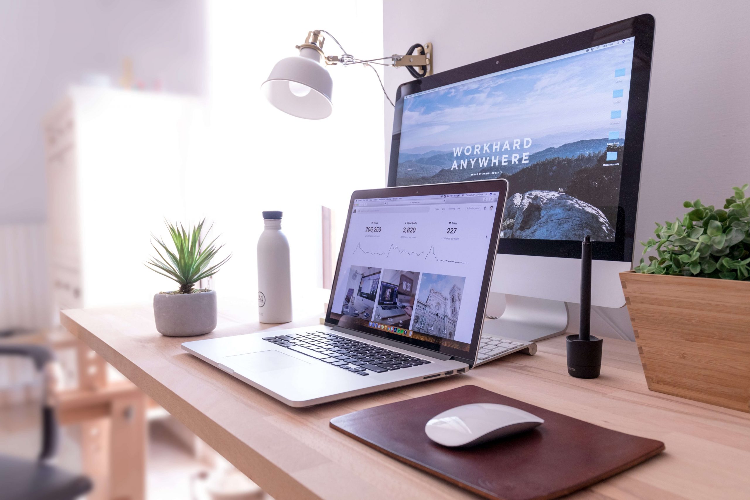Shop 1 domenico loia hGV2TfOh0ns unsplash 1 1 scaled 1 1