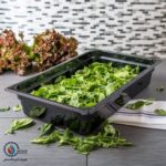 بنماری 1/1 پلی کربنات مشکی به همراه درب - Image 8