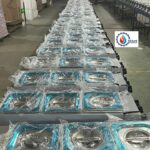 وارمر 3 لگن مخصوص ذوب شکلات دیجیتالی بن ماری - Image 7