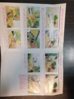 پاستا ساز و خمیر پهن کن و رشته کن دستی و ماشین رشته بر آش استیل خانگی سه کاره AGE - Image 20